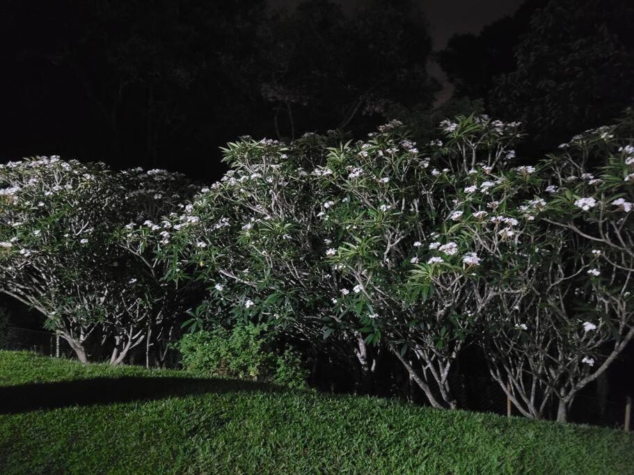Chacara Dos Sonhos Em Mairipora Villa Exterior photo